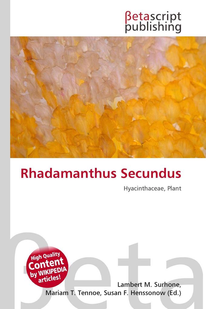 Rhadamanthus Secundus