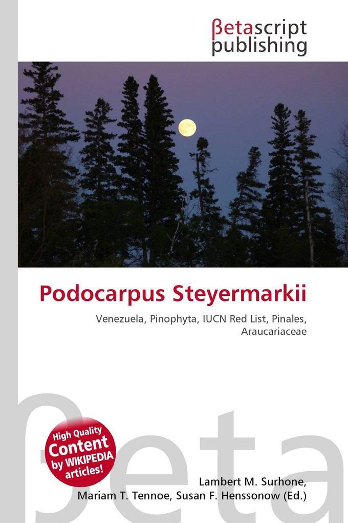 Podocarpus Steyermarkii