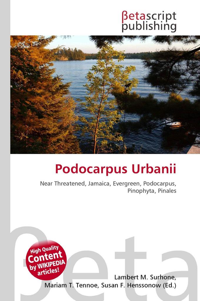 Podocarpus Urbanii