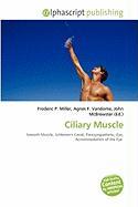 Ciliary Muscle