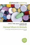 Corneal Ulcers in Animals