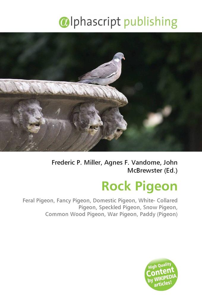 Rock Pigeon