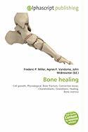 Bone healing