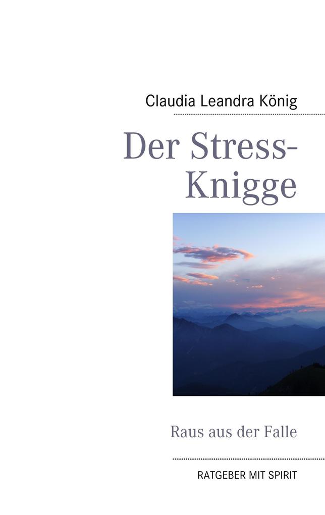 Der Stress-Knigge als Buch von Claudia Leandra König - Claudia Leandra König
