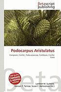 Podocarpus Aristulatus