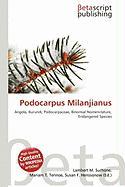 Podocarpus Milanjianus