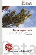 Podocarpus Levis