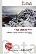Ynys Llanddwyn