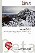 Ynys Gaint