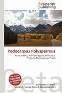 Podocarpus Polyspermus