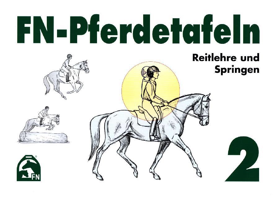 Reitlehre und Springen