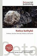 Natica bathybii