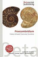Praecambridium