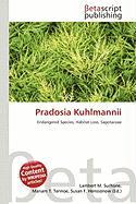 Pradosia Kuhlmannii
