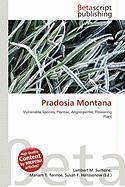Pradosia Montana