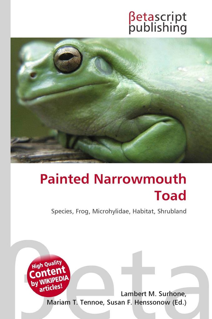 Painted Narrowmouth Toad