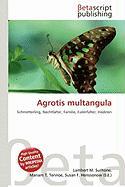 Agrotis multangula