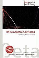 Rheumaptera Cervinalis