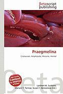 Praegmelina