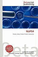 NUP54