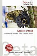 Agrotis infusa