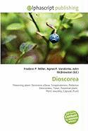 Dioscorea