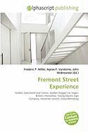 Fremont Street Experience