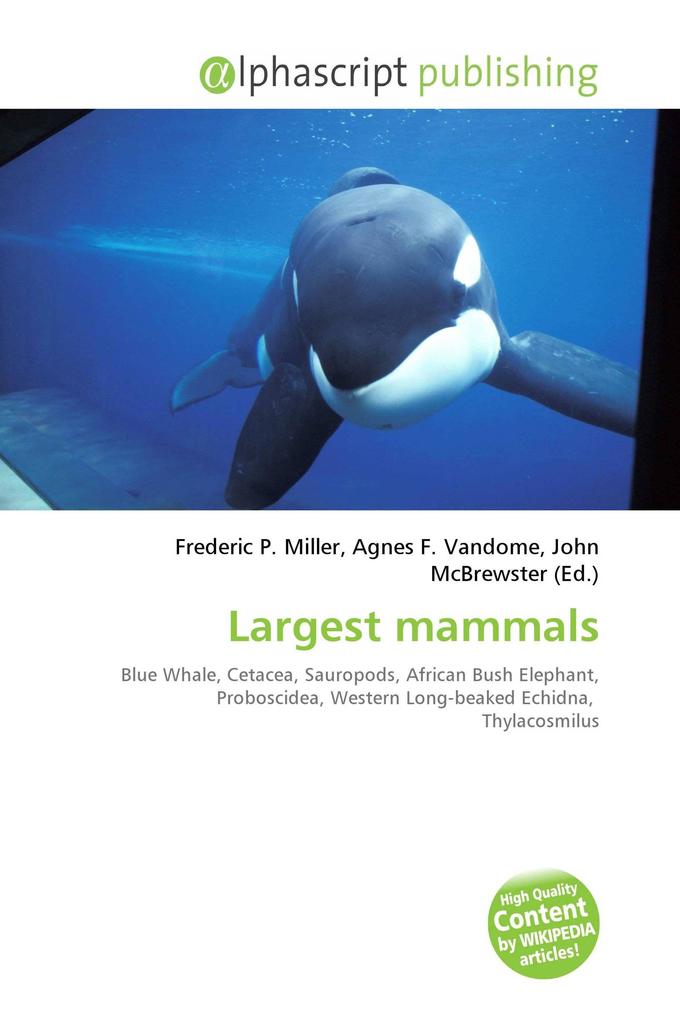 Largest mammals