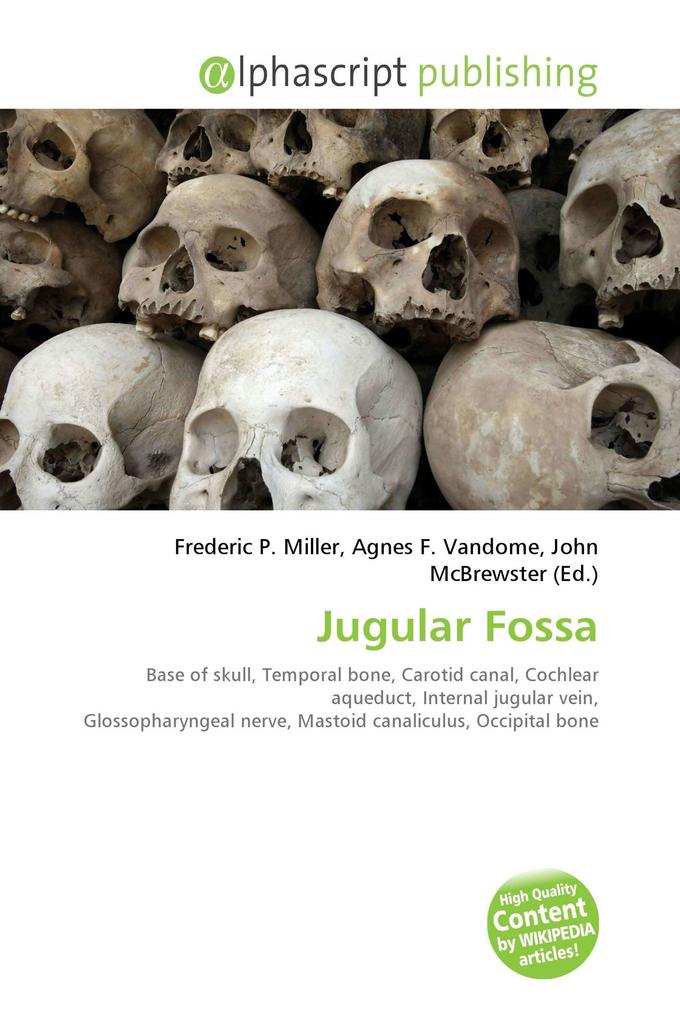 Jugular Fossa