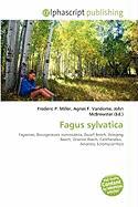 Fagus sylvatica