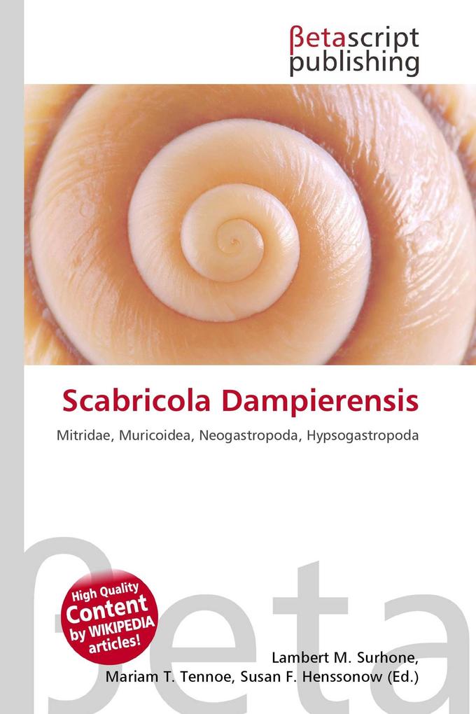 Scabricola Dampierensis