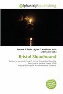 Bristol Bloodhound