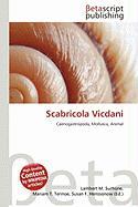 Scabricola Vicdani