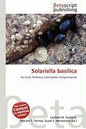 Solariella basilica