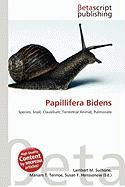Papillifera Bidens
