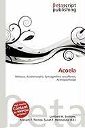 Acoela