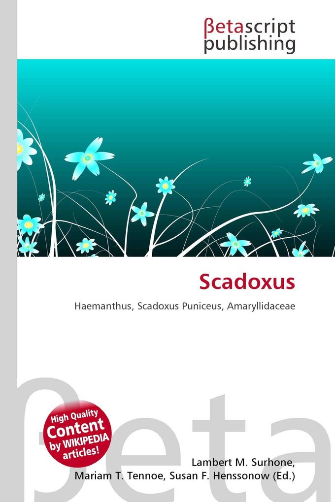 Scadoxus
