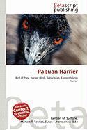 Papuan Harrier