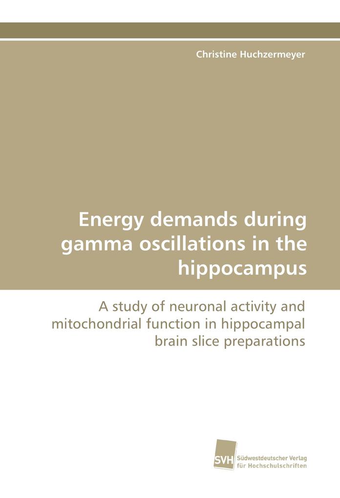 Energy demands during gamma oscillations in the hippocampus
