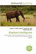 Elephant intelligence