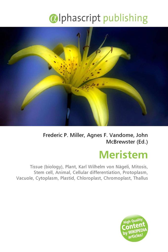 Meristem