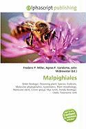 Malpighiales