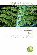 Fern