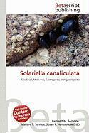 Solariella canaliculata