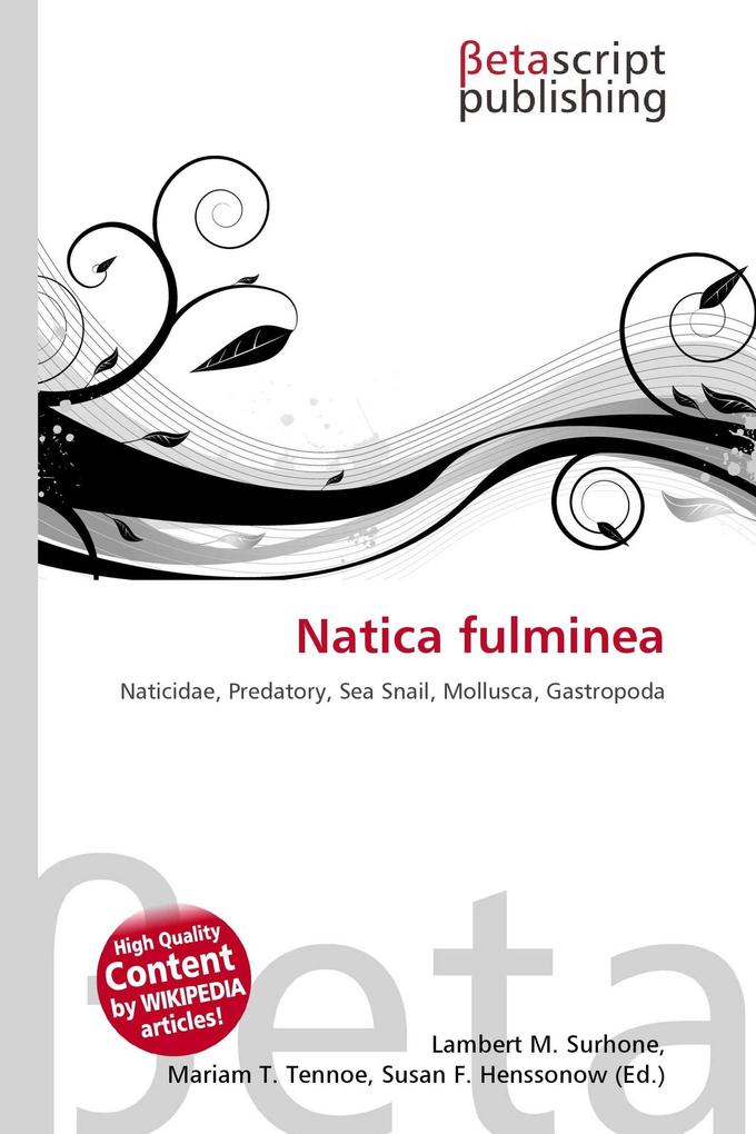 Natica fulminea