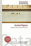Scaled Pigeon