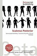 Scalenus Posterior