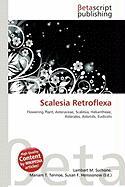 Scalesia Retroflexa