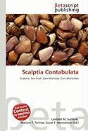 Scalptia Contabulata