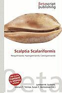 Scalptia Scalariformis